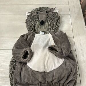 Hedgehog Halloween Costume